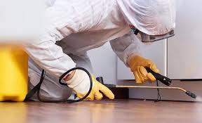 Emergency Pest Control Services in South Tucson, AZ